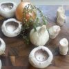 Mushroom and thyme soup 20170525_130926